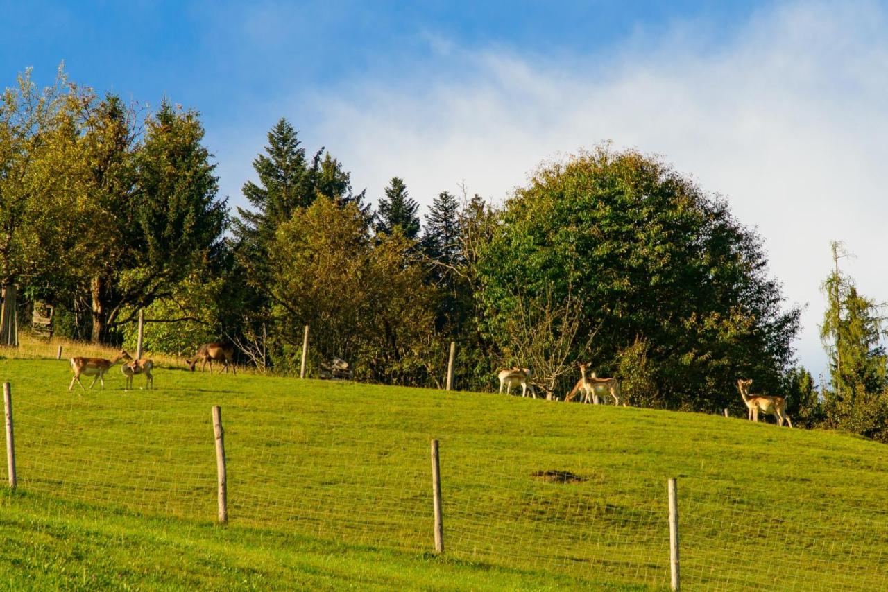 Bed and Breakfast Schrahlehen Wagrain Esterno foto